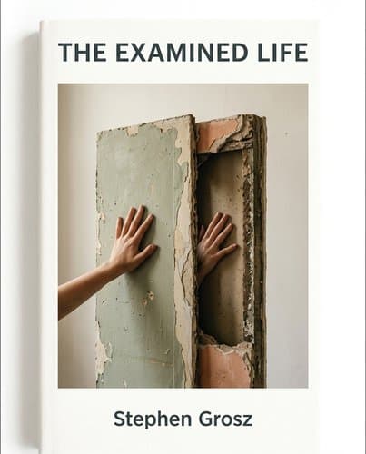 16241137_the-examined-life cover