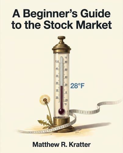 45996732_a-beginner-s-guide-to-the-stock-market cover